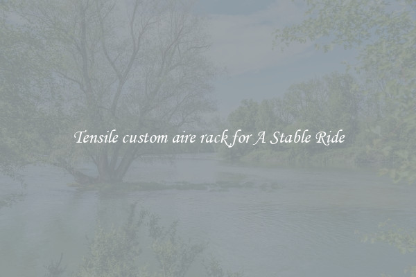 Tensile custom aire rack for A Stable Ride