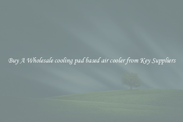 Buy A Wholesale cooling pad based air cooler from Key Suppliers