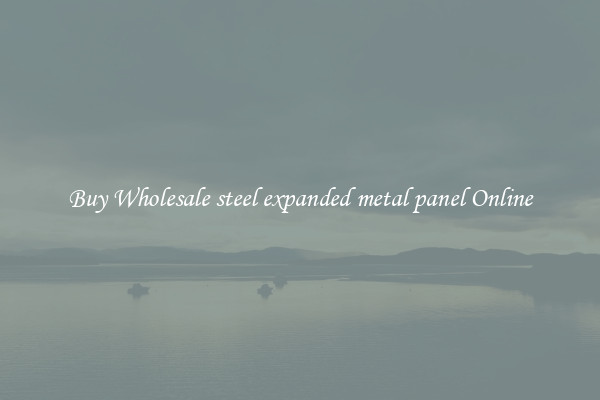 Buy Wholesale steel expanded metal panel Online