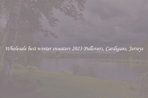 Wholesale best winter sweaters 2023 Pullovers, Cardigans, Jerseys