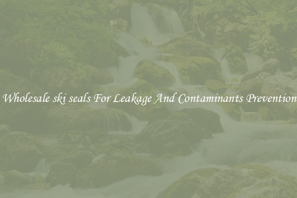 Wholesale ski seals For Leakage And Contaminants Prevention