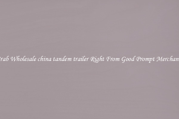 Grab Wholesale china tandem trailer Right From Good Prompt Merchants