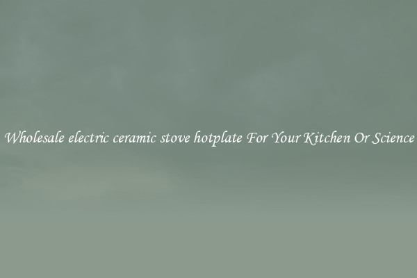 Wholesale electric ceramic stove hotplate For Your Kitchen Or Science