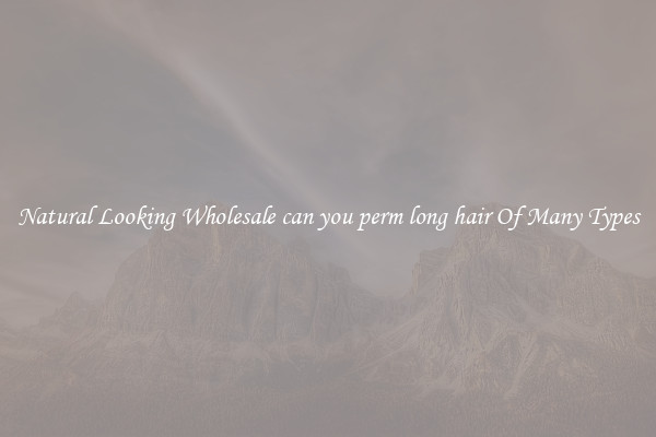Natural Looking Wholesale can you perm long hair Of Many Types