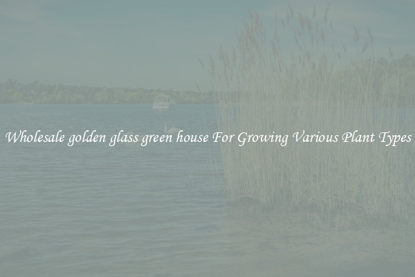 Wholesale golden glass green house For Growing Various Plant Types