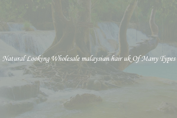 Natural Looking Wholesale malaysian hair uk Of Many Types