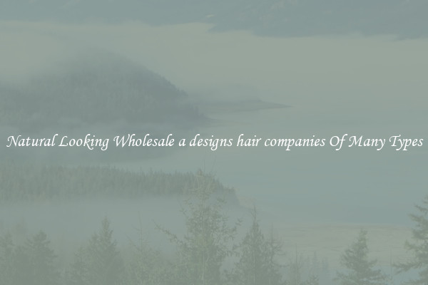 Natural Looking Wholesale a designs hair companies Of Many Types