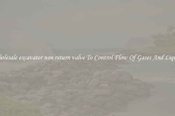 Wholesale excavator non return valve To Control Flow Of Gases And Liquids