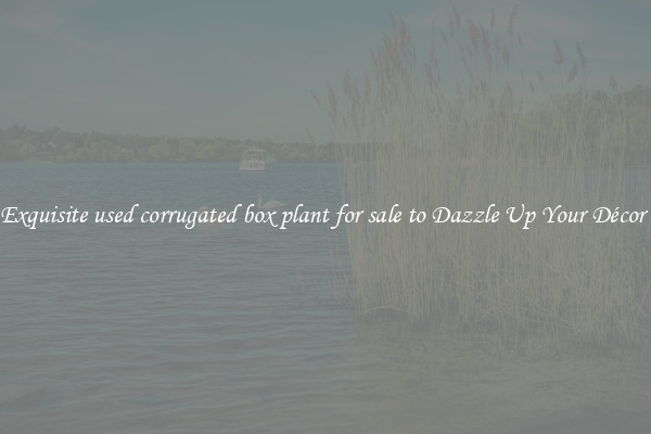 Exquisite used corrugated box plant for sale to Dazzle Up Your Décor 