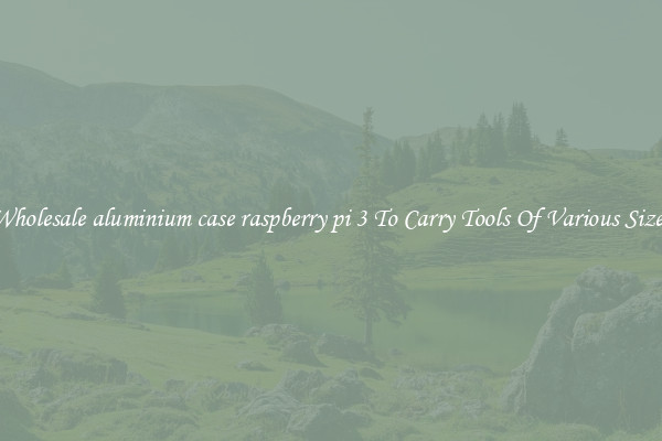 Wholesale aluminium case raspberry pi 3 To Carry Tools Of Various Sizes