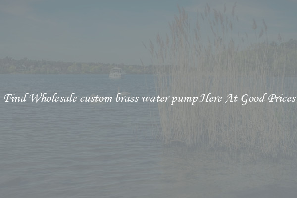 Find Wholesale custom brass water pump Here At Good Prices