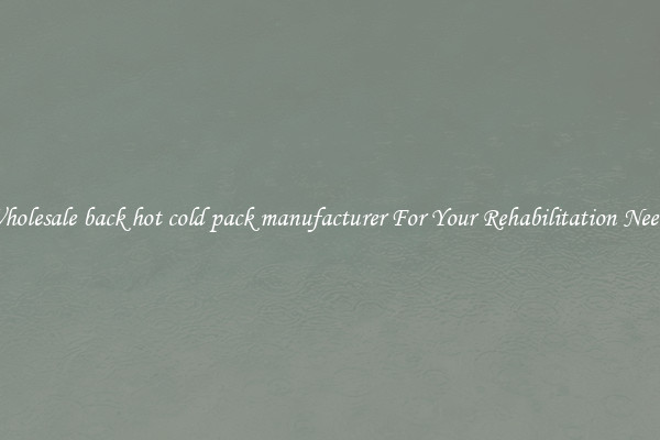 Wholesale back hot cold pack manufacturer For Your Rehabilitation Needs