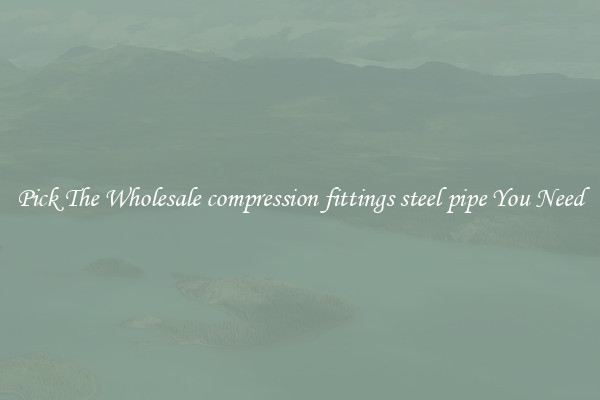 Pick The Wholesale compression fittings steel pipe You Need