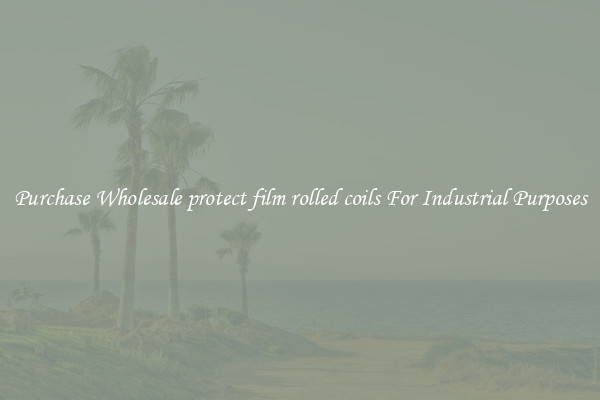 Purchase Wholesale protect film rolled coils For Industrial Purposes
