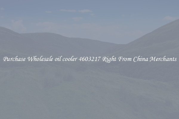 Purchase Wholesale oil cooler 4603217 Right From China Merchants