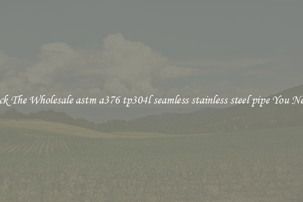 Pick The Wholesale astm a376 tp304l seamless stainless steel pipe You Need