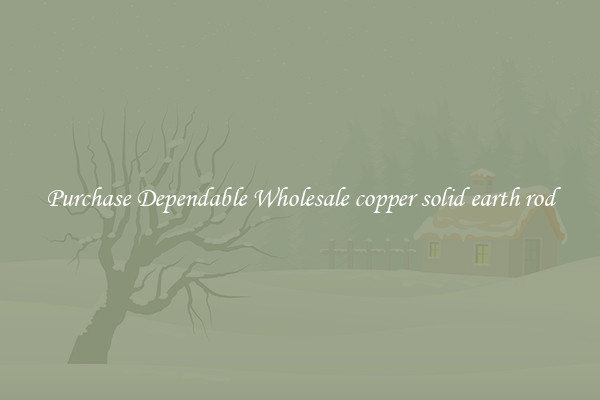 Purchase Dependable Wholesale copper solid earth rod