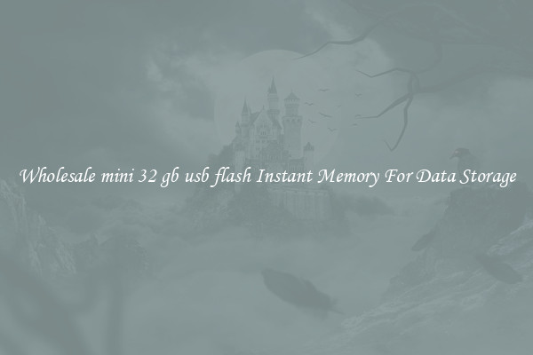 Wholesale mini 32 gb usb flash Instant Memory For Data Storage