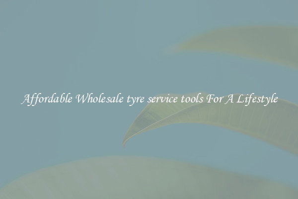 Affordable Wholesale tyre service tools For A Lifestyle