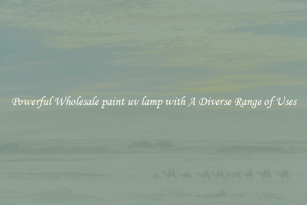 Powerful Wholesale paint uv lamp with A Diverse Range of Uses