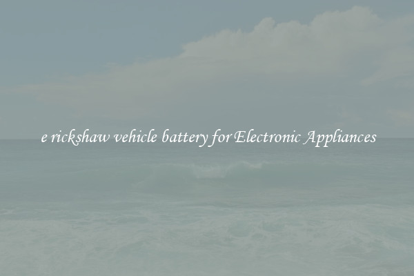 e rickshaw vehicle battery for Electronic Appliances