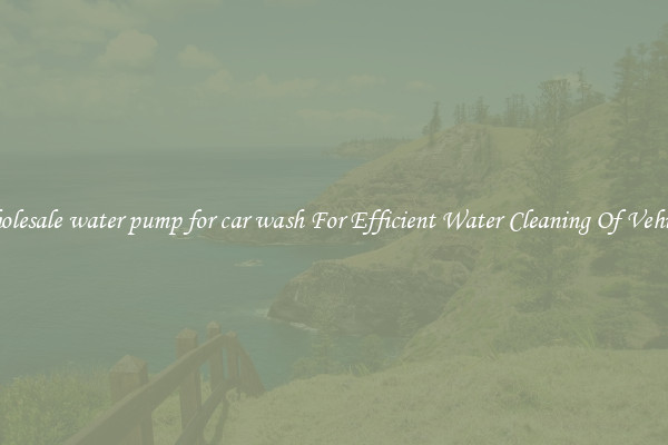 Wholesale water pump for car wash For Efficient Water Cleaning Of Vehicles