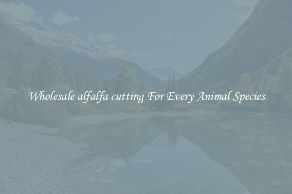 Wholesale alfalfa cutting For Every Animal Species