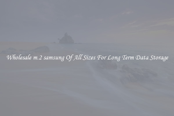 Wholesale m.2 samsung Of All Sizes For Long Term Data Storage