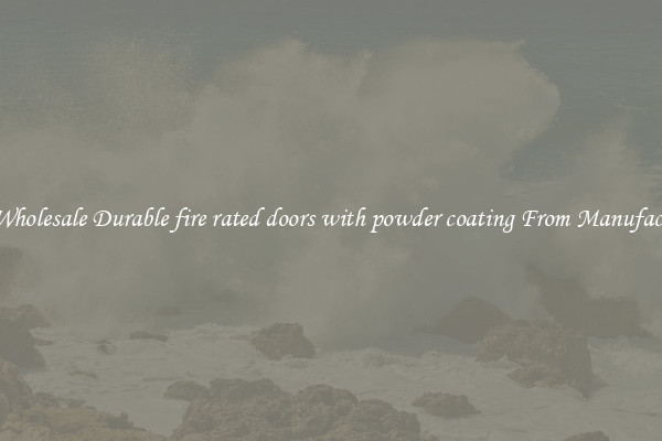 Buy Wholesale Durable fire rated doors with powder coating From Manufacturers