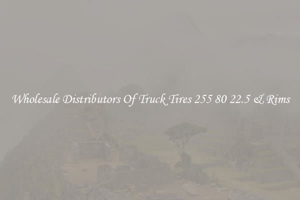 Wholesale Distributors Of Truck Tires 255 80 22.5 & Rims