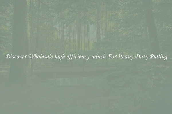 Discover Wholesale high efficiency winch For Heavy-Duty Pulling