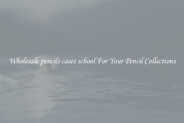Wholesale pencils cases school For Your Pencil Collections